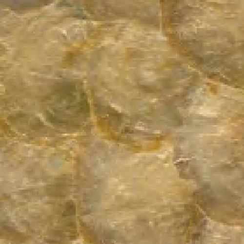Janesis Capic Shell