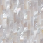 Pearl Shell